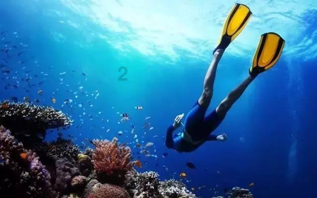 女人换了微信头像征兆一个女孩子，一天更换多次头像，这是有什么……游戏画面